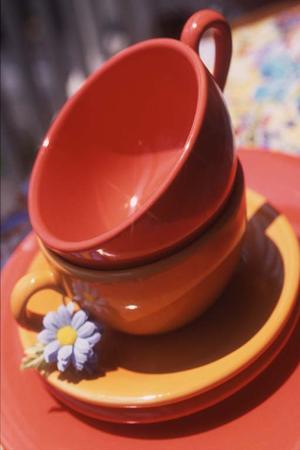 箕面で不用品が多くて困っているなら