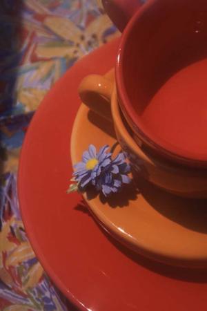 浜松で不用品回収するならこちらの会社がおすすめです