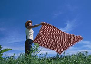 明治R-1ヨーグルト宅配のご紹介