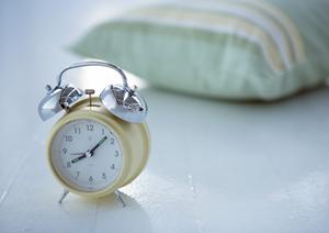 広島での農業におけるネズミ対策の重要性