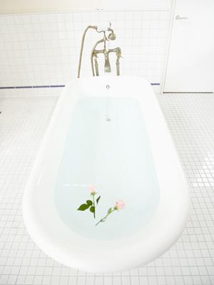 世界に通用するウェブサイトを構築するための翻訳事業