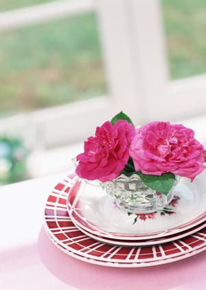 赤ちゃんの写真は二子玉川の写真館