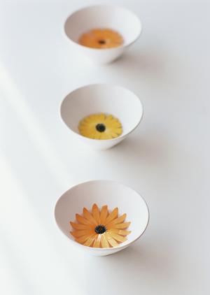 電子看板の価格徹底ガイド｜導入費用とメリットを活用した集客戦略